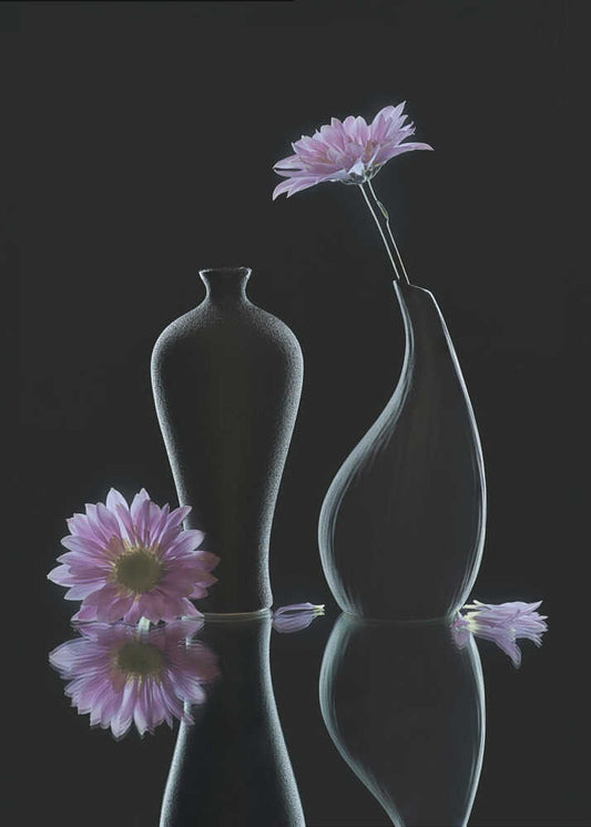 still life 37