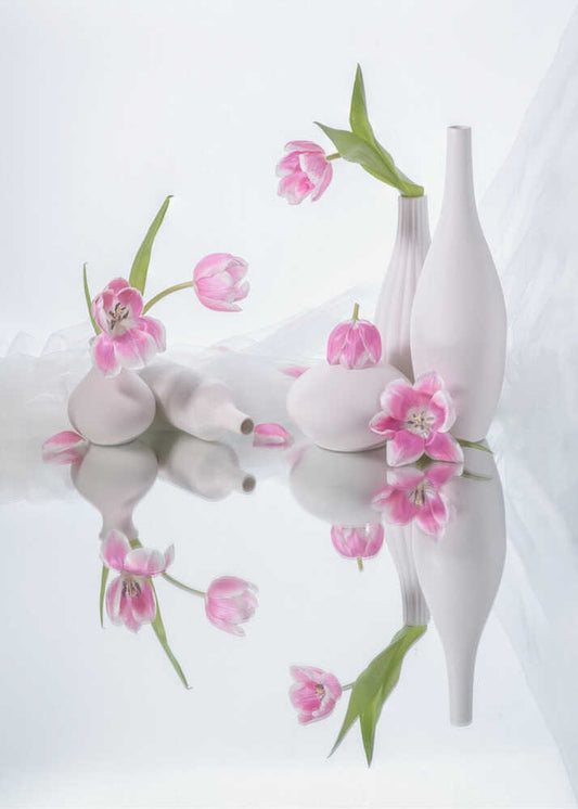 still life 42
