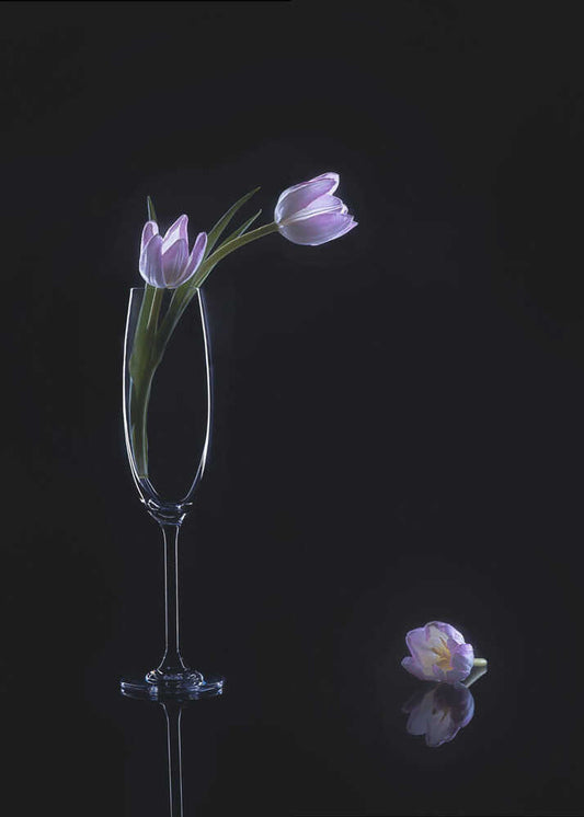 still life 74