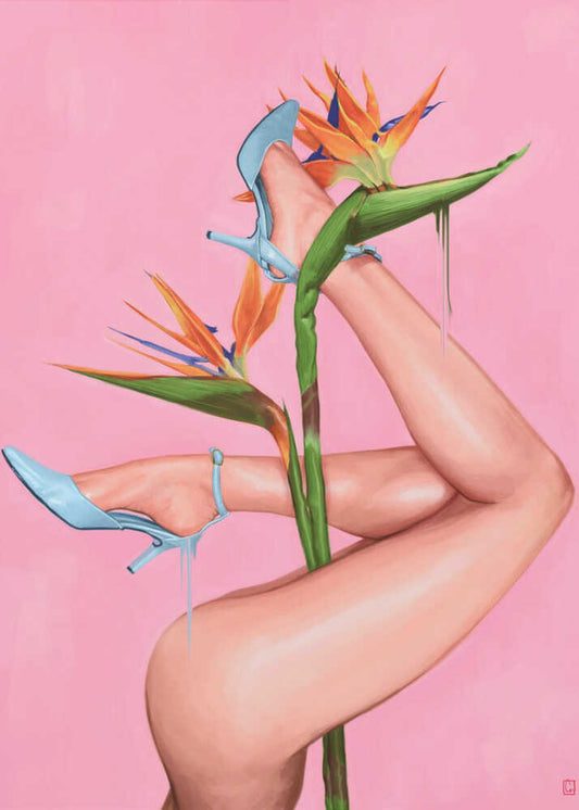 Bird of Paradise