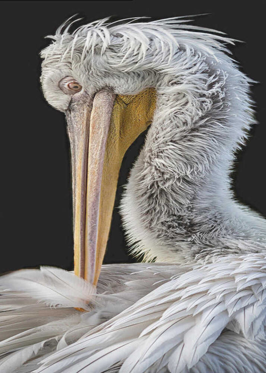 Handled with a long neck