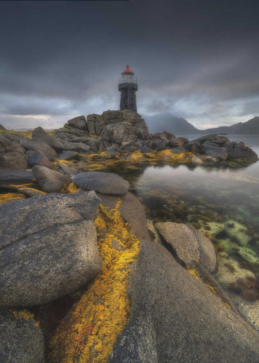 "WAITING FOR THE TIDE"