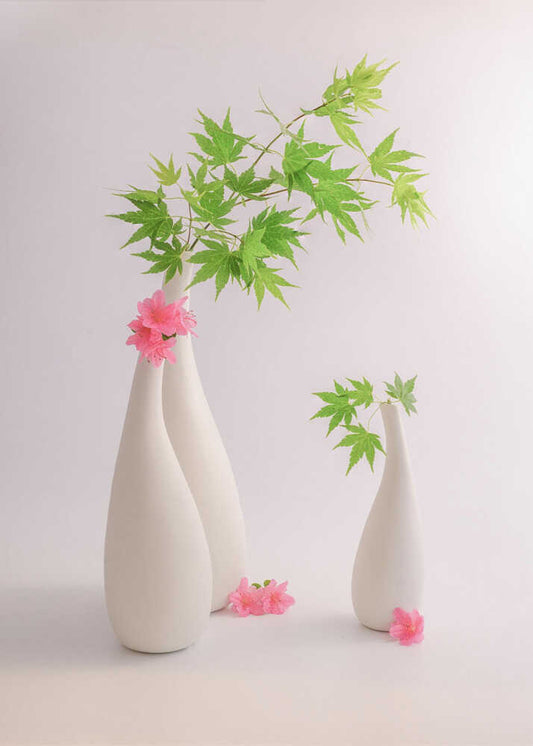 still life 123