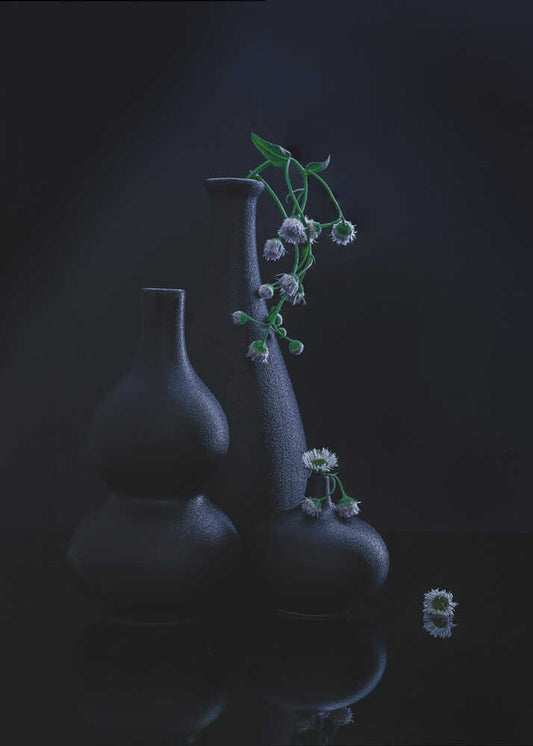 still life 125