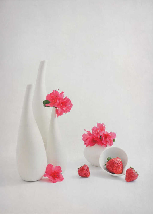 still life 126