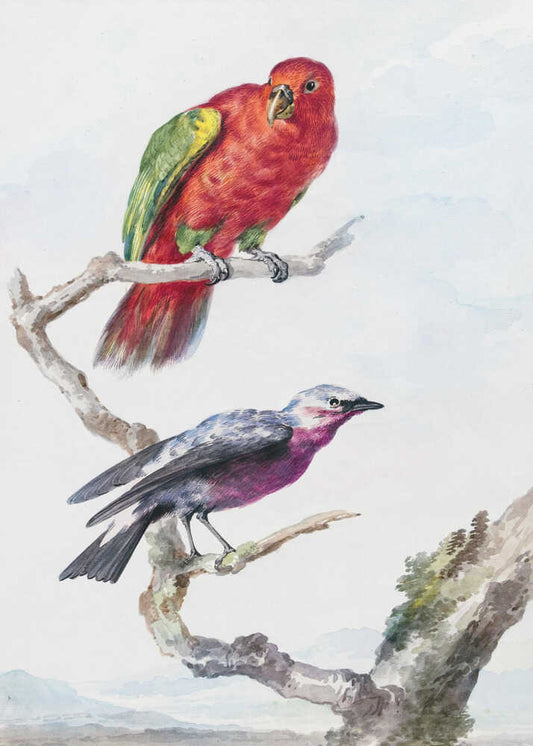 Two Birds, Including a Red Green Parrot