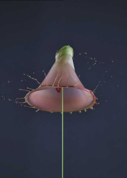 Dynamic Liquid Splash