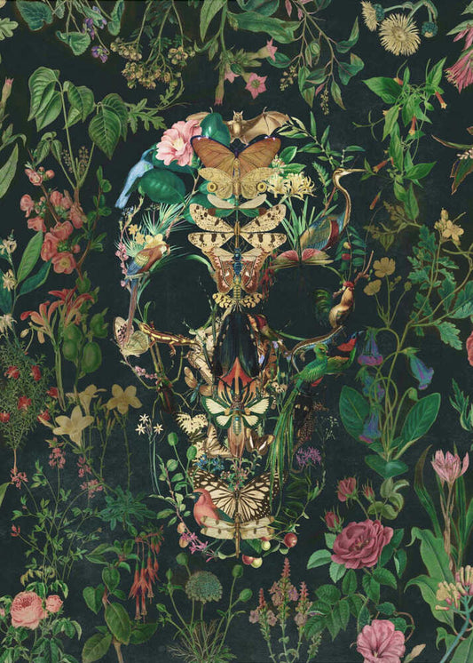 Papillon Skull