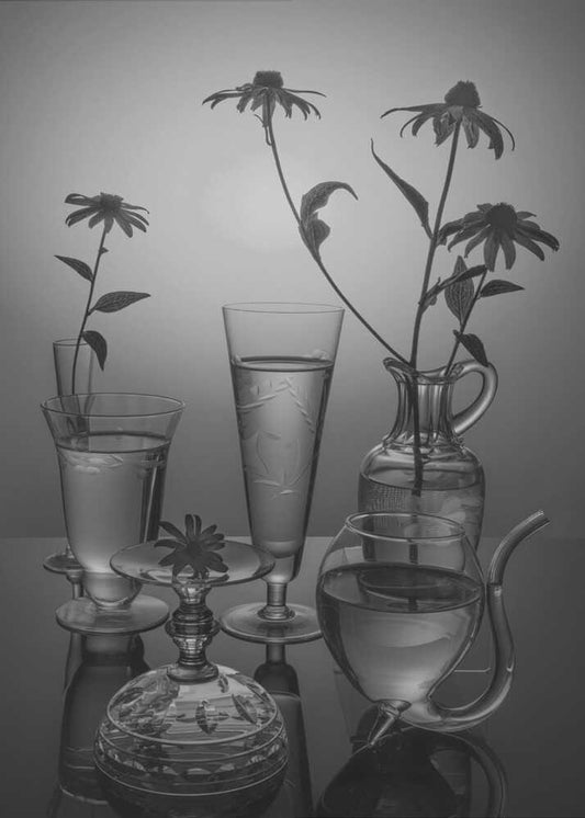 Monochrome Flowers and Glass