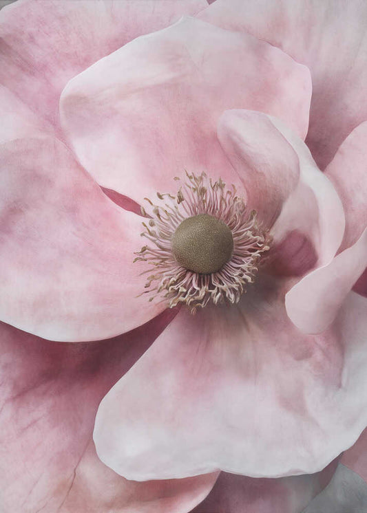 Delicate Pink Flower