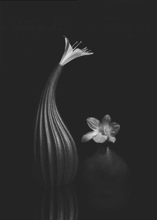 Elegant Floral Still Life