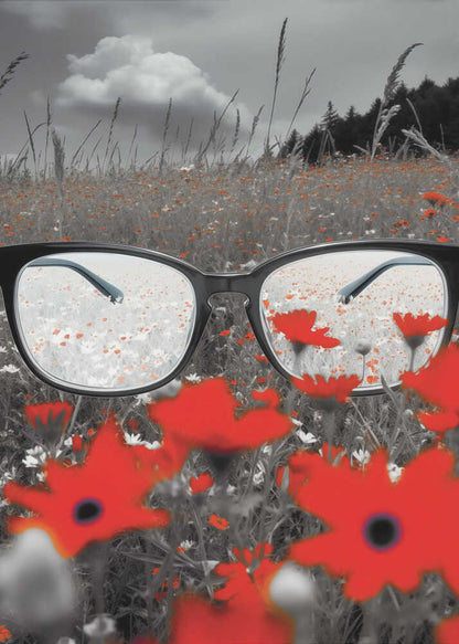 Glasses In a Meadow