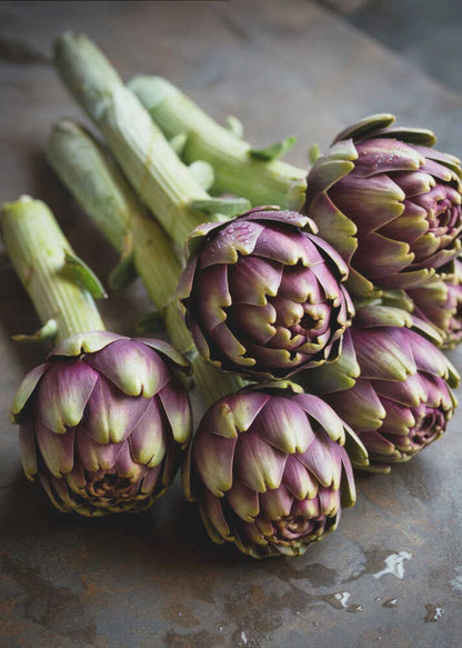 The Artichokes