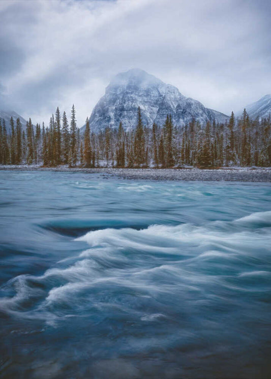 The Cold of Late Autumn