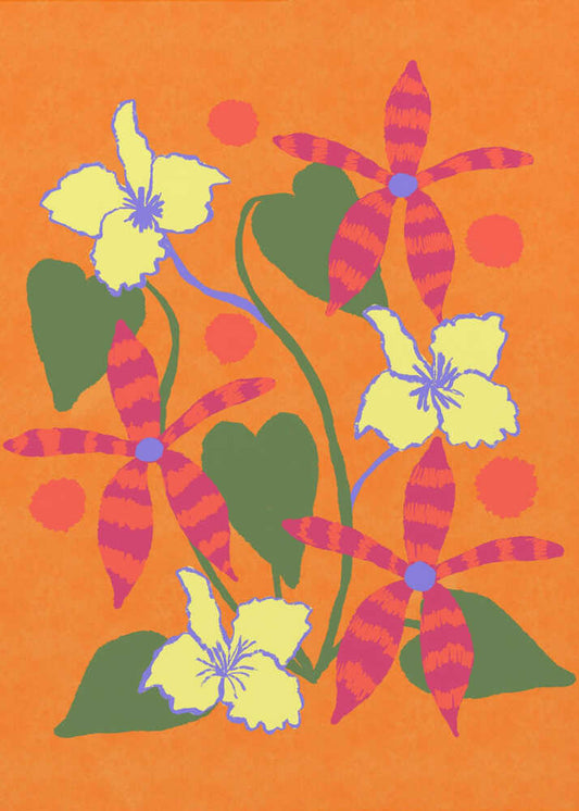 Orchid dance