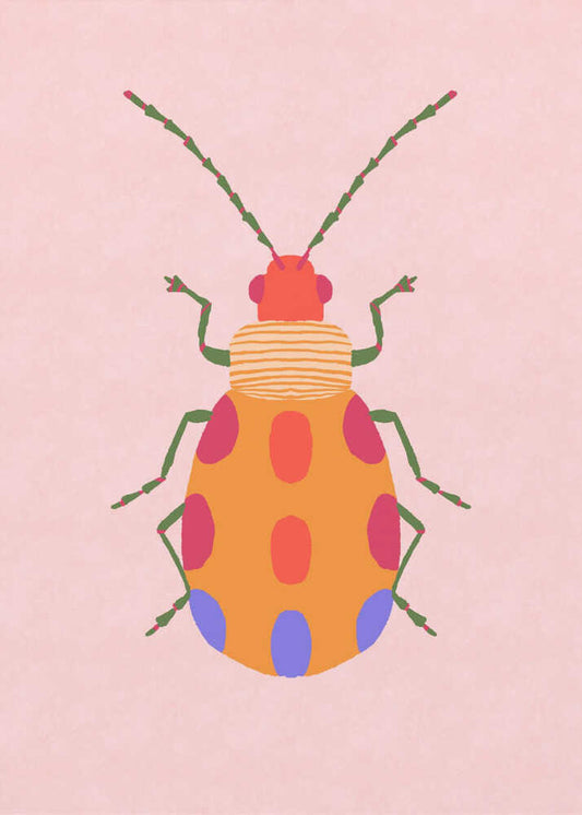 Colorful Beetle