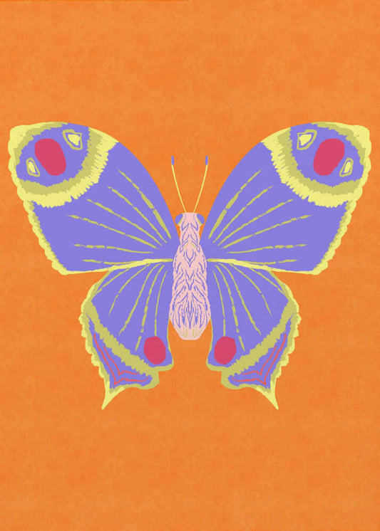 Sunset Butterfly