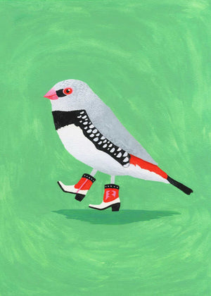 Diamond Fire-tailed Finch in Cowgirl Boots