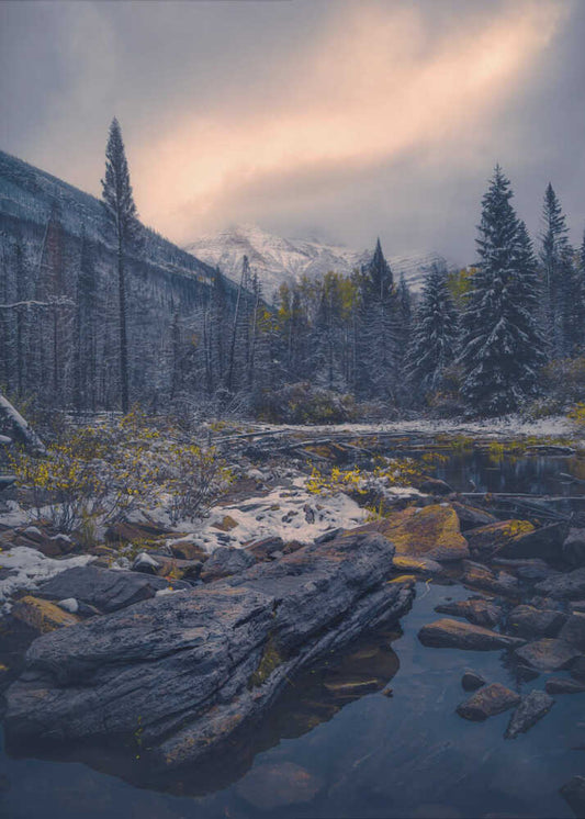 Early winter