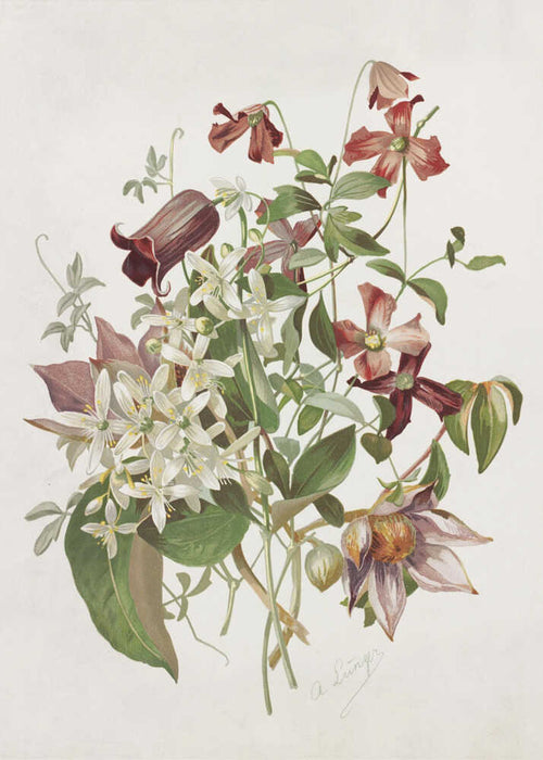Alois Lunzer