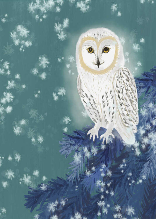 Owl in the Still Night