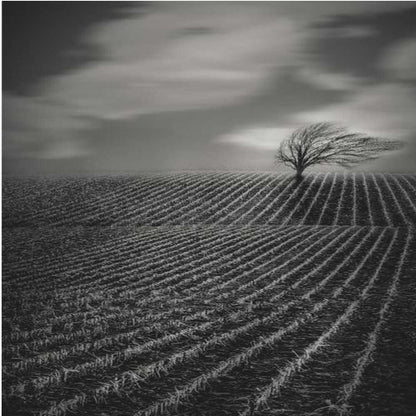Loneliness