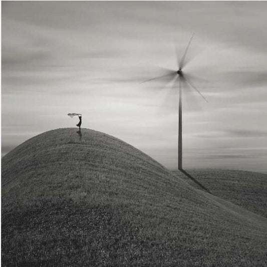 Windy Day