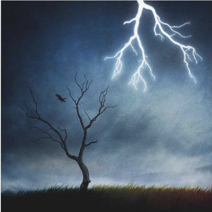 lightning tree