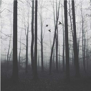 moody forest