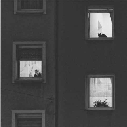 The Lives of Others