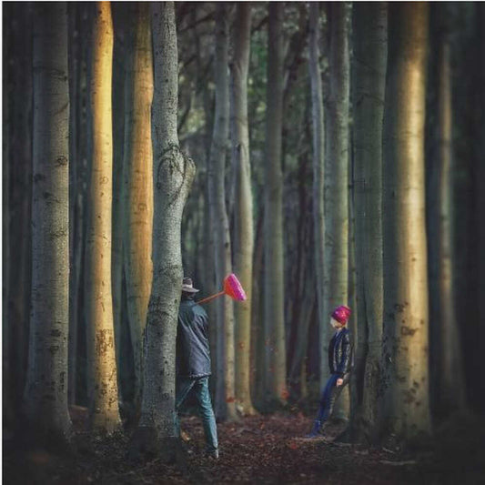 Tomorrow, the forest will be swept!