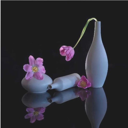 still life 14