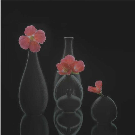 still life 46