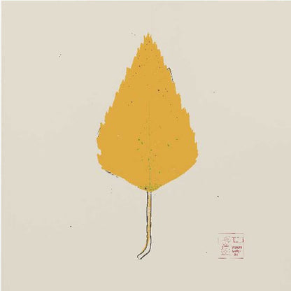 Birch