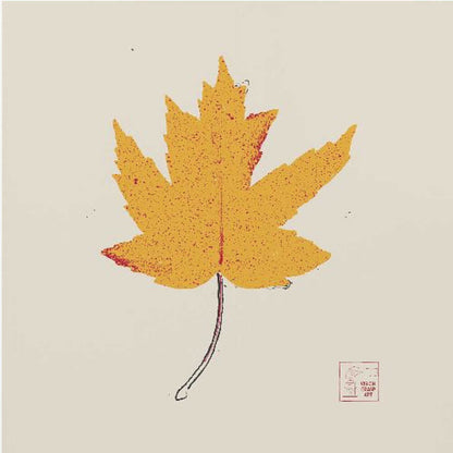 Maple