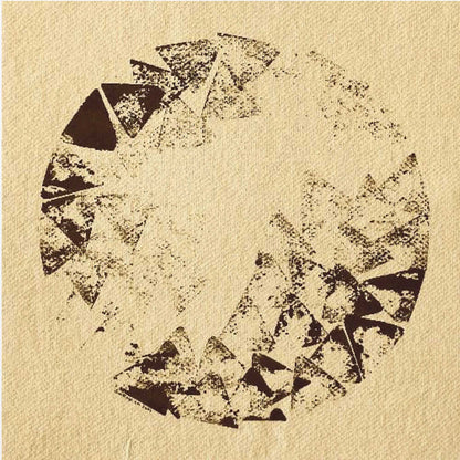 Shattered Eclipse