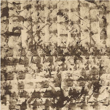 Rustic Echoes