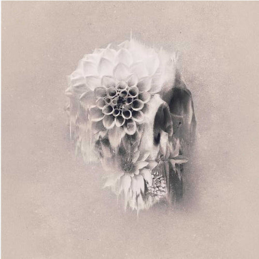 Decay Skull