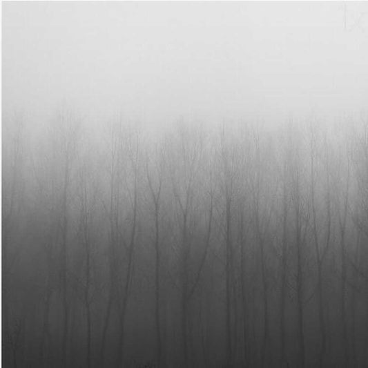 Mistery lines